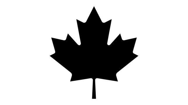 maple leaf silhouette on white background black