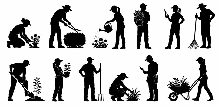 Gardeners performing various tasks with tools and plants outside in the daytime actively.