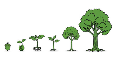 Fototapeta premium Tree Growth Stages Illustration.
