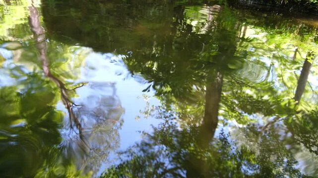 Silent Japanese garden stream reflections with trees and distorted water surface