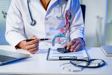 Fototapeta premium A doctor holds a blister pack of pills next to a model of the urinary tract on a table with a laptop and medical records, illustrating kidney treatment, diagnosis, and care procedures in a clinic.