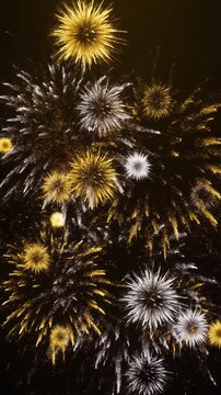 ゴールド&times;シルバーのラメミックス爆発