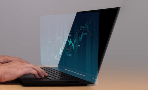 Analysts who work with computers in the fields of business analytics and data management systems.