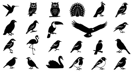 Collection of various black bird silhouettes on white background including owls swans and tropical birds © Nimay