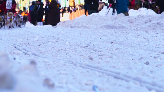 Musher and dog team racing throught the snow in Alaska