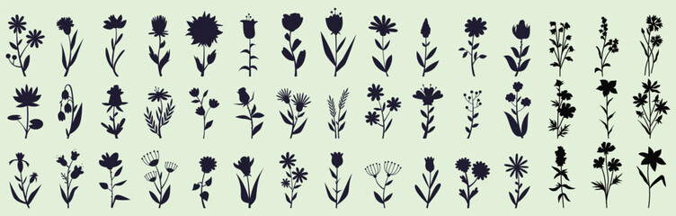 Obraz premium Wildflower silhouette collection with blooming garden flowers and botanical stems. Elegant floral illustration perfect for nature patterns, branding, packaging, textiles, and decorative designs.