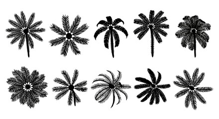 Obraz premium A collection of nine black and white flower illustrations on a white background with various shapes.