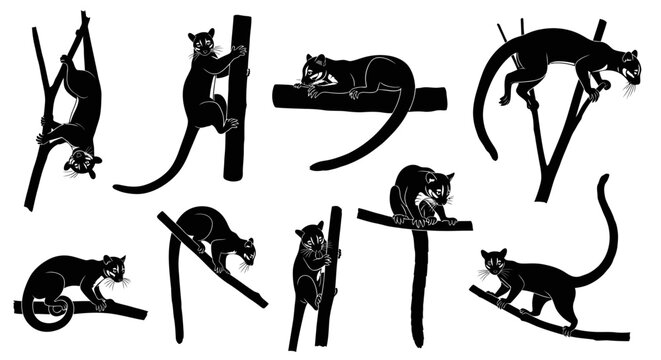 Various poses of cats climbing and playing on tree branches and poles.