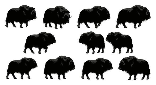 A group of bison silhouettes walking in unison across a plain landscape outdoors.