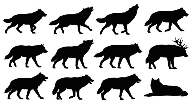 A group of wolf silhouettes walking and running in a natural outdoor environment with one lying down.
