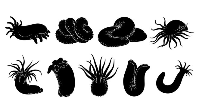 Black silhouettes of various sea creatures swimming in ocean water viewed from side