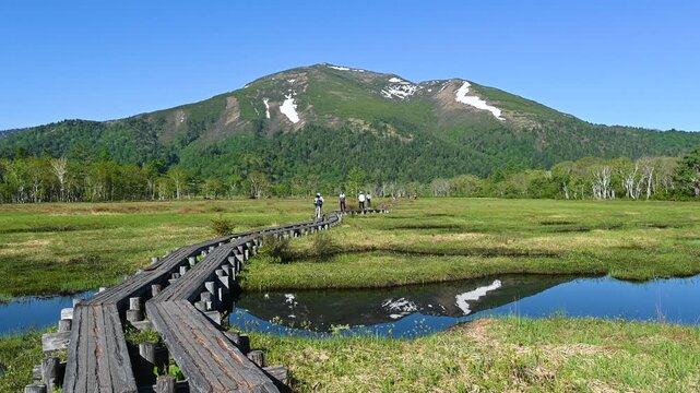 春の至仏山と尾瀬の木道　2026年6月撮影　日本