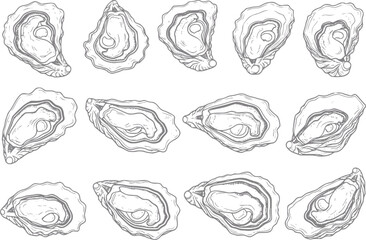 Hand-drawn of fresh oysters in a repeating pattern © Anjuman_42
