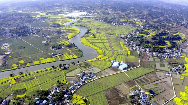 Aerial View of Winding River Through Rural Farmland and Yellow Flowering Fields