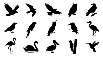 Obraz premium Nature Wildlife Avian Birds Silhouettes Vector Icons Set Various Bird Species Collection