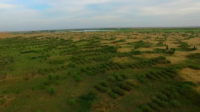 Aerial View of Semi Arid Desert Landscape with Green Shrubs and Sandy Dunes