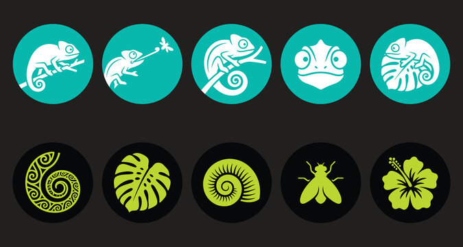 A set of circular vector icons featuring stylized chameleons, tropical monstera leaves, insects, flowers, and spiraled shells on dark backgrounds