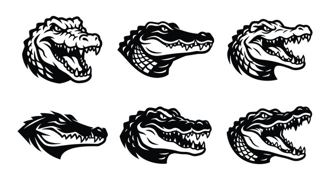 Alligator heads vector illustration crocodile black white