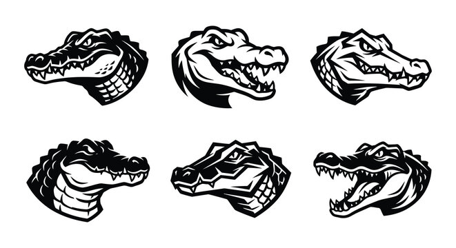 Alligator heads vector illustration crocodile black white
