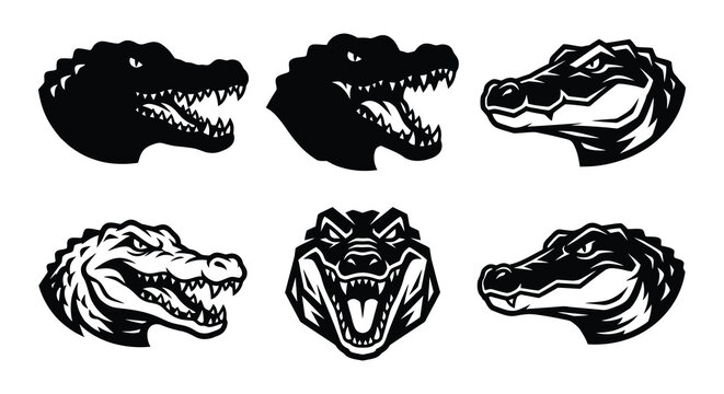 Alligator heads vector illustration crocodile black white