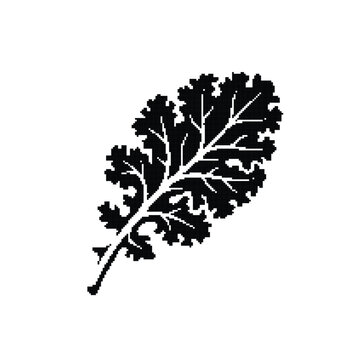 Black kale leaf silhouette vector, organic curly kale vegetable icon, minimalist superfood foliage illustration for healthy food branding