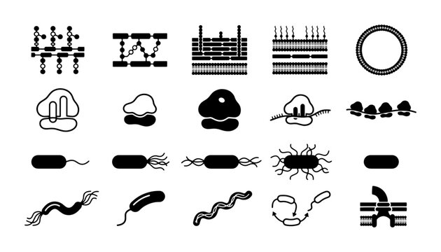 Microbiology and bacterial cell structure icons, 20 black vector elements of microorganisms and pathogens, scientific biology diagram symbols for research