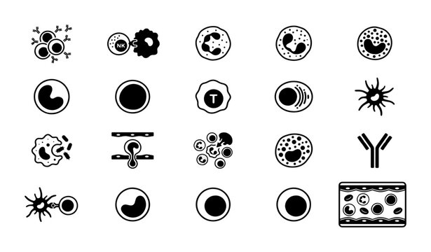 Immune system cell icons set, 20 black and white vector elements, human blood cells and leukocyte types for medical education and scientific research
