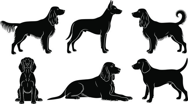 Dog Breed Silhouette Vector Illustration Set Featuring Various Canines like Golden Retriever German Shepherd and Spaniel in Multiple Poses for Pet Care Branding Veterinary Marketing and Animal Graphic