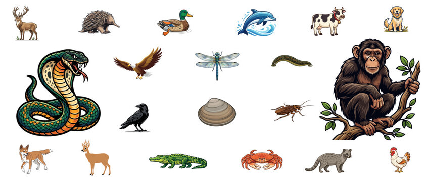 Diverse Animal and Insect Vector Illustration Collection
