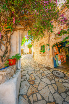 Alley decorated with flowers in the picturesque village of Afionas vacation on the island of Corfu in Greece nearPorto Timoni beach