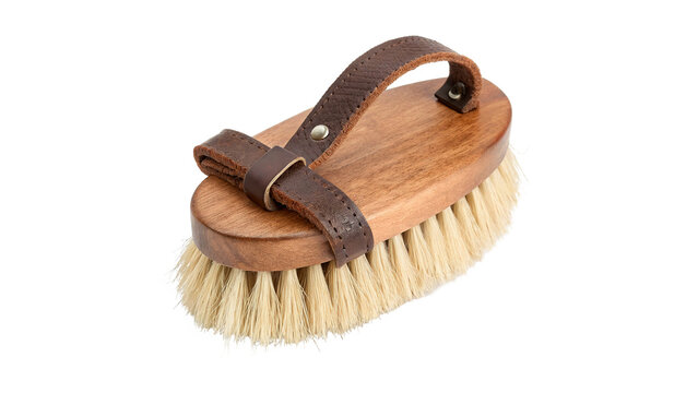 Equestrian horse grooming brush with wooden back and stiff bristles isolated on transparent background