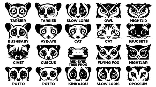 Black and white vector illustration of various animal faces and names