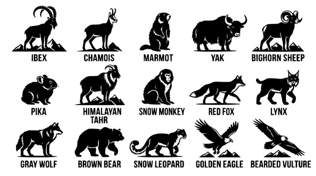 Black silhouettes of various mountain animals and their names listed
