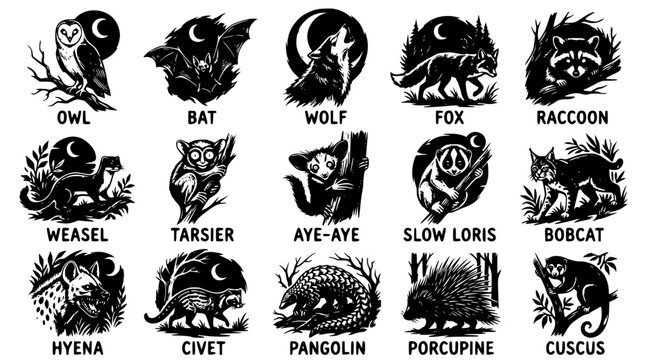Black and white vector illustrations of nocturnal and exotic animal designs