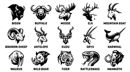 Obraz premium Black and white vector illustration of various wild animal heads