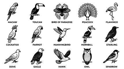 Fototapeta premium Black and white vector illustration of various exotic bird species designs