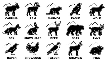 Fototapeta premium Black and white vector illustration of various mountain animals and birds