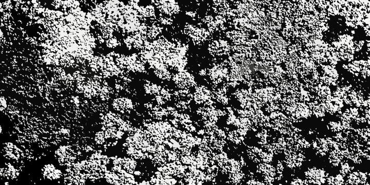 dithered texture black and white contrast pattern