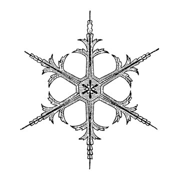 Combinations of Radiant Stars with Plates, hexagonal stellar snow crystal with central plate, old vintage illustration, 1897.