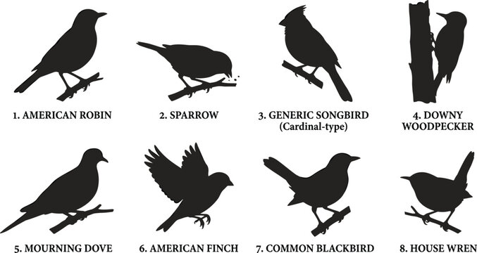 Collection of bird silhouette illustrations including robin, sparrow, dove, woodpecker, finch, blackbird, wren, and songbird designs