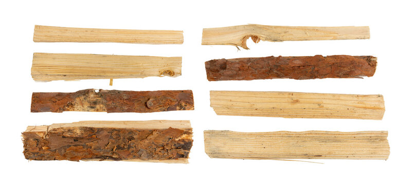 Firewood pile isolated, cut logs stack