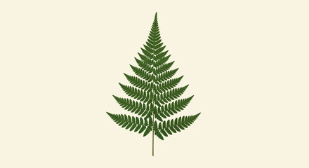 Elegant digital rendering of a single green fern frond, highlighting its symmetrical patterns and rich botanical detail, suitable for minimalist nature designs and serene visual content © john