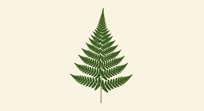 Elegant digital rendering of a single green fern frond, highlighting its symmetrical patterns and rich botanical detail, suitable for minimalist nature designs and serene visual content