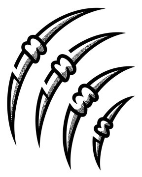 Three sharp animal claws with bone wrapping isolated on transparent background