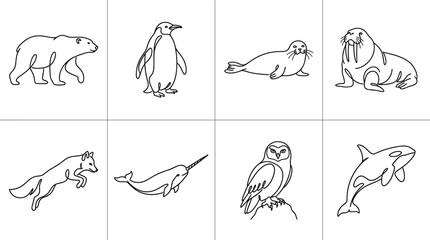 Collection of eight arctic and polar animals including a polar bear, penguin, seal, walrus, fox, narwhal, owl, and orca drawn in a single continuous line style © MD
