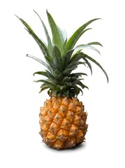 Obraz premium A fresh ripe whole pineapple with green leaves stands upright