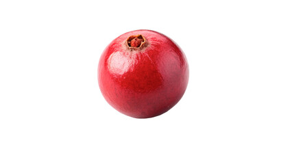 Single fresh ripe red currant berry healthy organic sweet fruit on transparent background © novasel-png