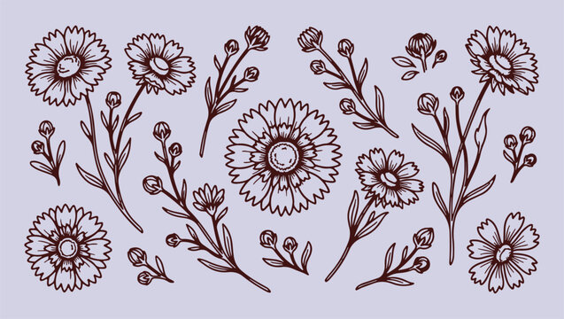 Garden lavender pattern, detailed flower sketches, assorted botanical illustrations, clean line art vector, minimal monoline design, modern premium graphic asset, isolated floral elements, nature aest