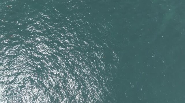 【ドローン】真俯瞰で見る美しい海と陸地 - Top-down Aerial View of Emerald Ocean and Coast (4K）