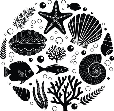Black and white of marine life and seashells arranged in a circle starfish fish coral